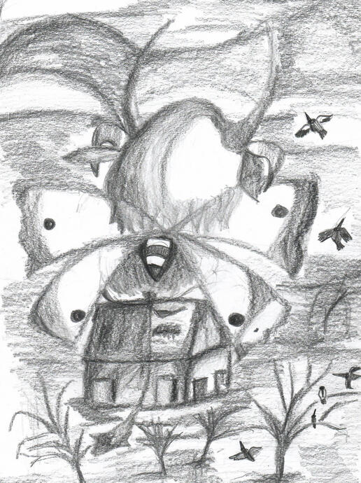 Metamorfosi