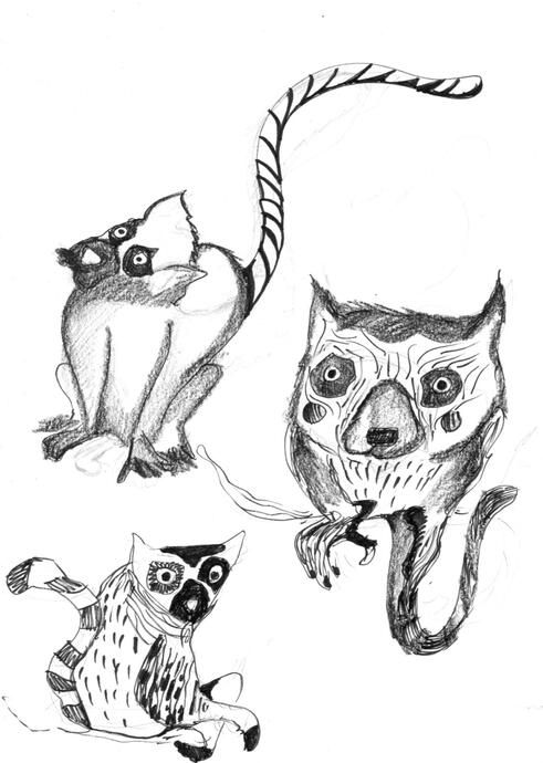Lemuri-animal workshop